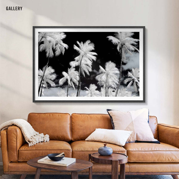 Palm Mirage