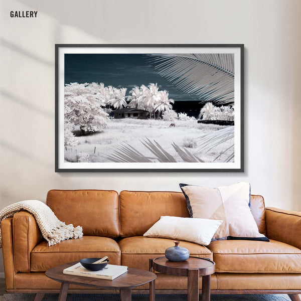 Dream Shore