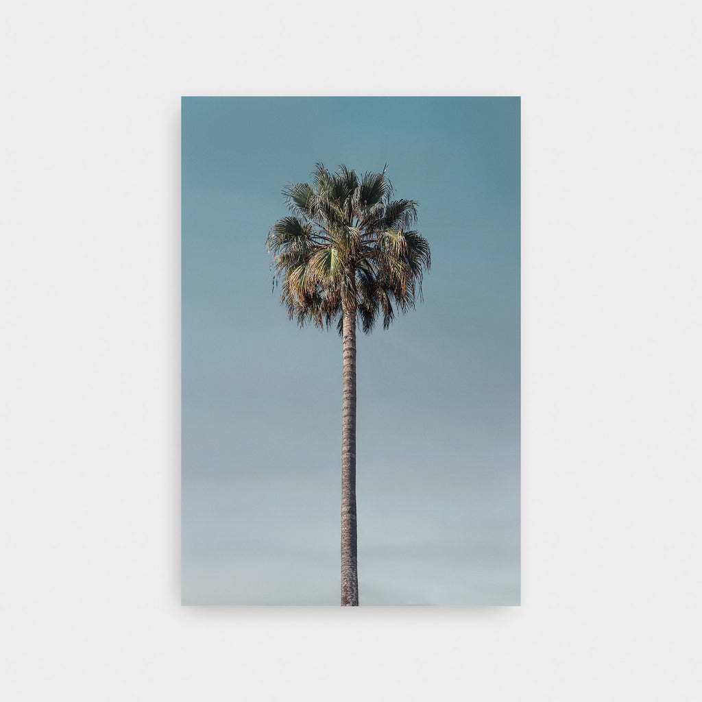 Last Palm - LNDN GRAY