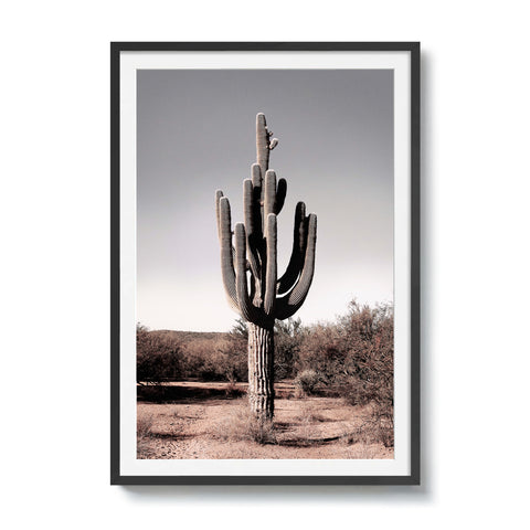 The Signature - Western