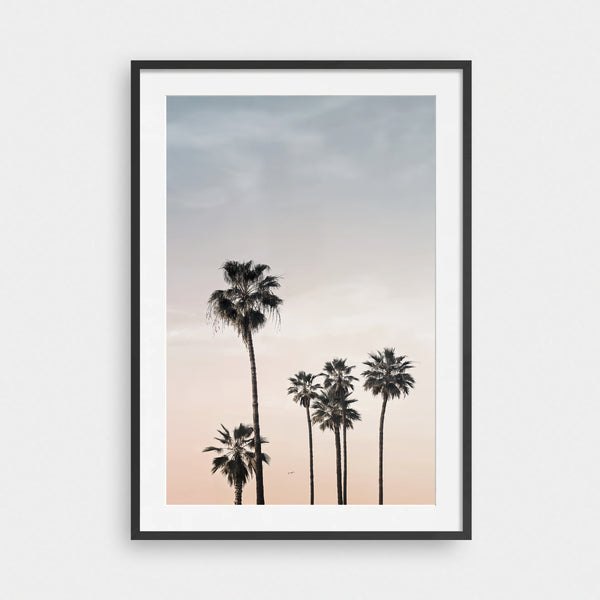 Paradise Palms