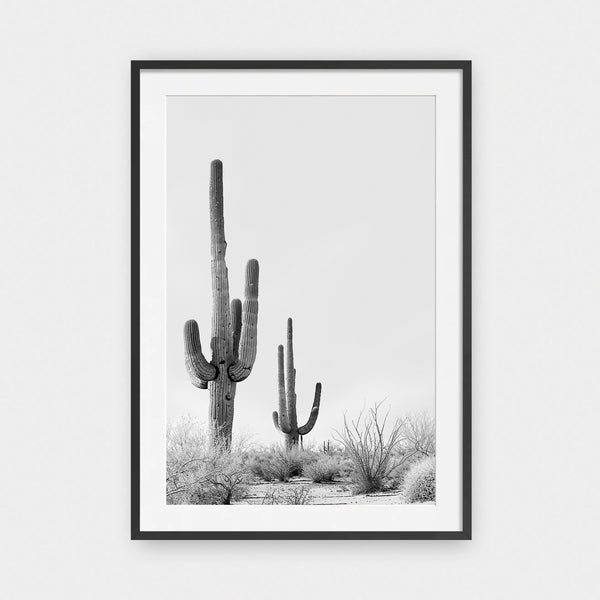 Desert Bloom Vol. 1