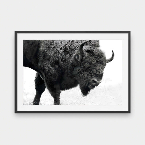 Buffalo Soldier