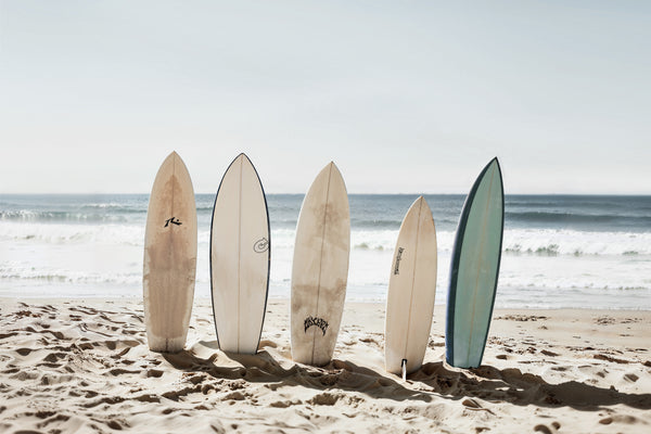 Coastal Cartel