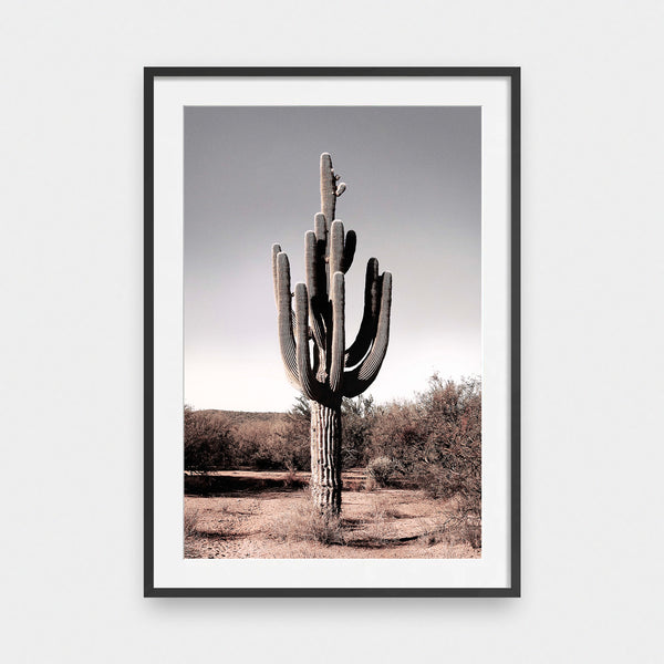 Desert Jewel