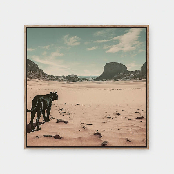 Desert Shadow | Vol.2
