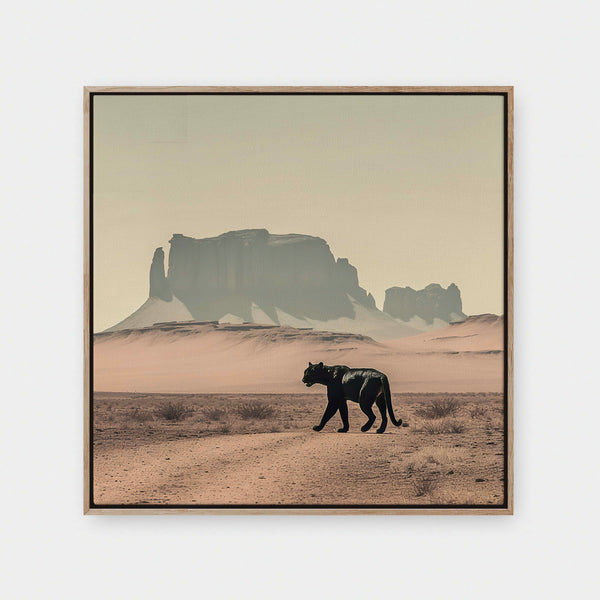 Desert Shadow | Vol.1