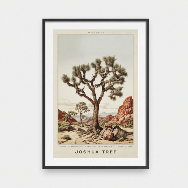 National Park: Joshua Tree