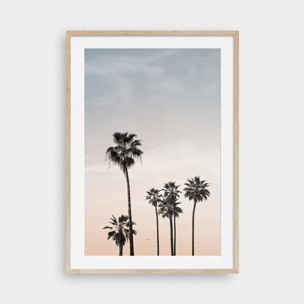 Paradise Palms