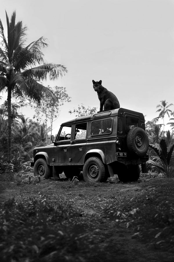 Night Watch