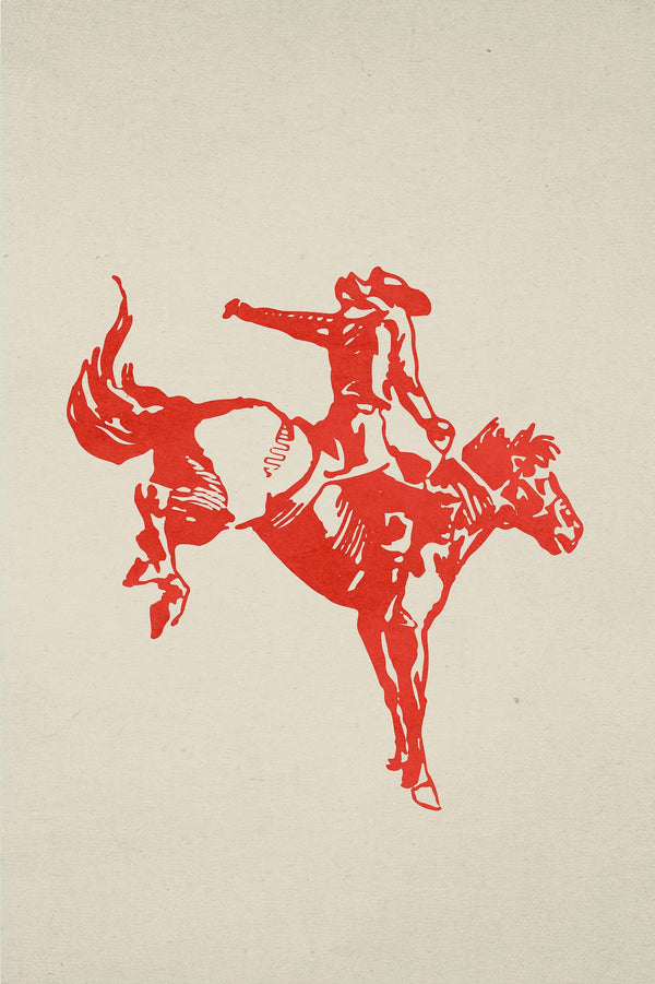 Not my First Rodeo Vol. 1