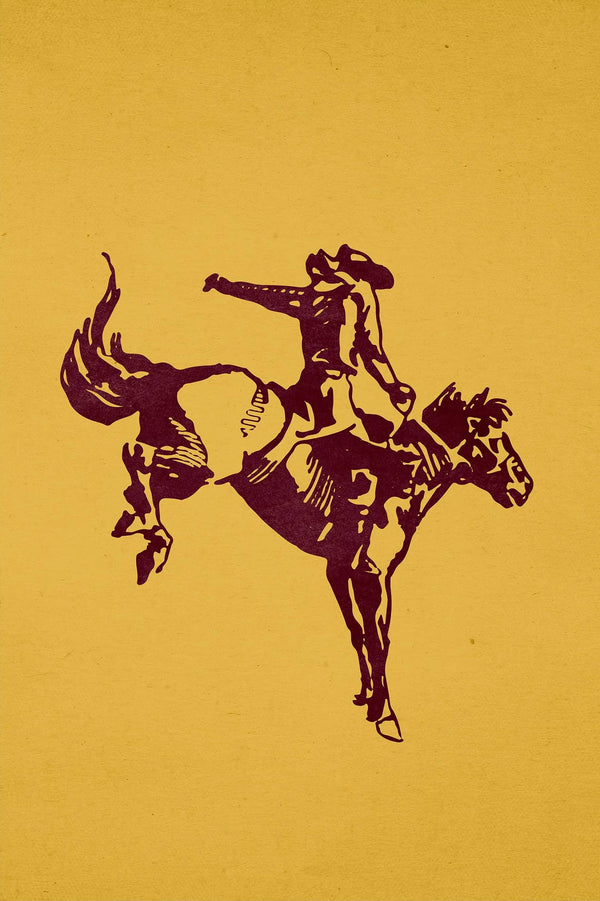 Not my First Rodeo Vol. 2