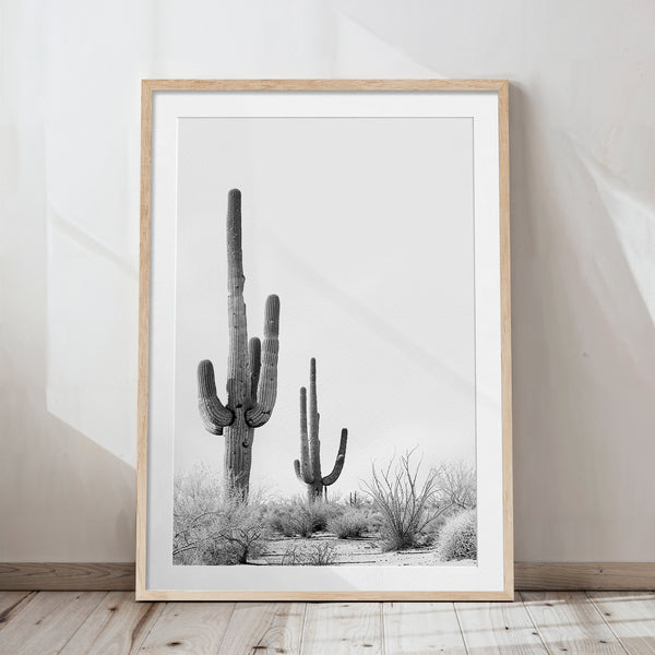 Desert Bloom Vol. 1