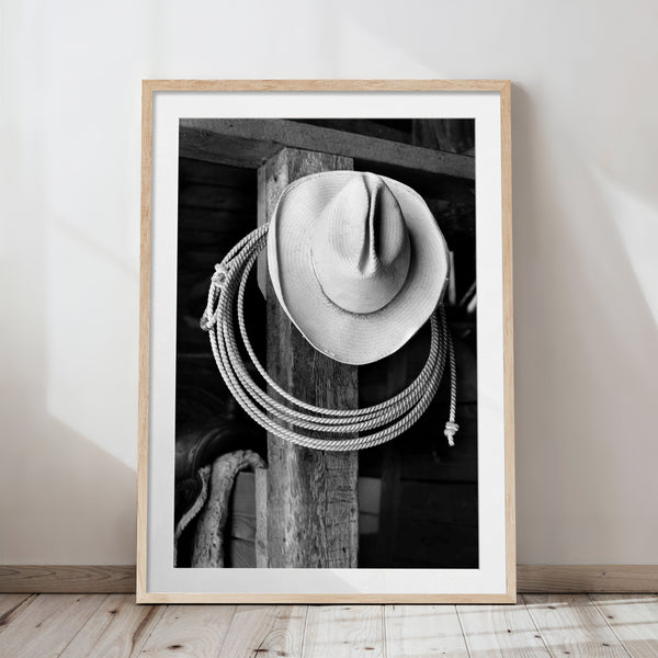 Hat and Lasso