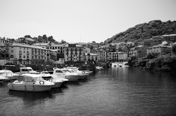 Quiet Harbor