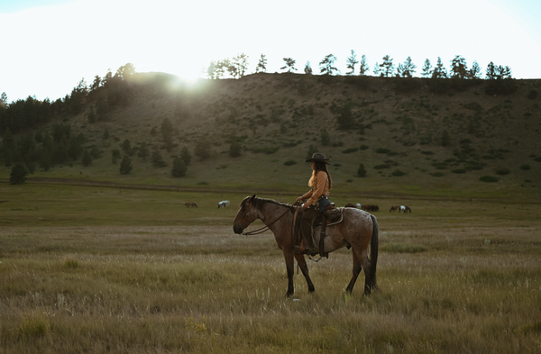 Montana Morning