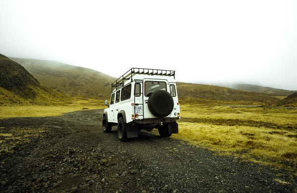 Into the Wild