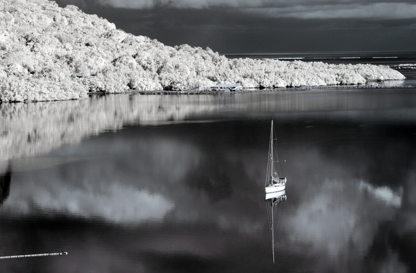 The Bay