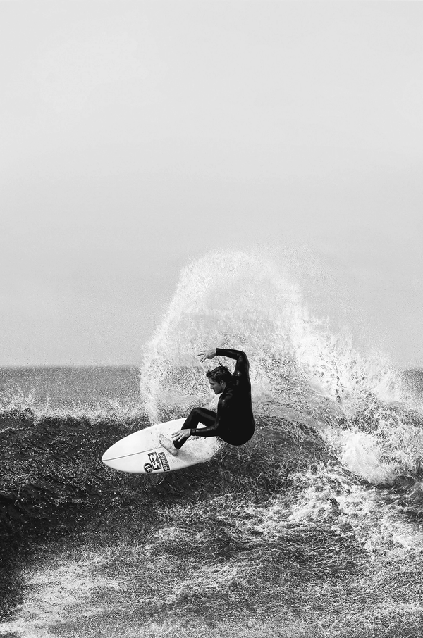 Shred