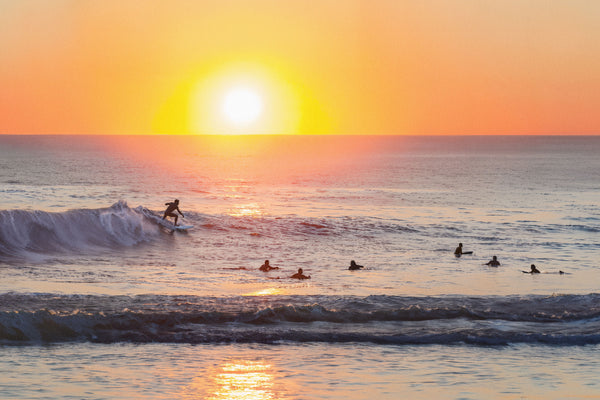 Sunset Shredder