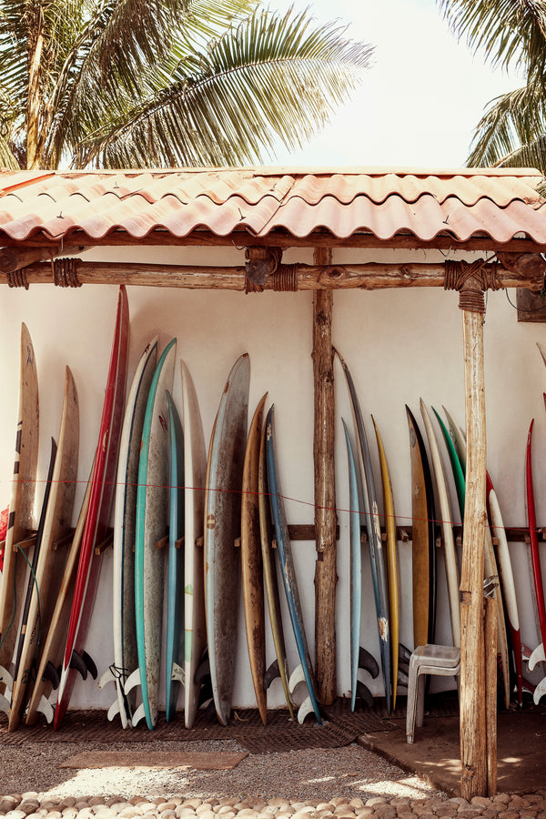 Lineup