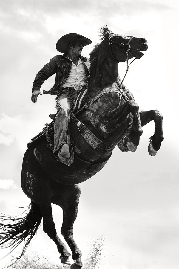 Wild Ride