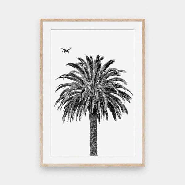 Palm & Plane - beach, black and White, photography, portrait print - LNDN GRAY