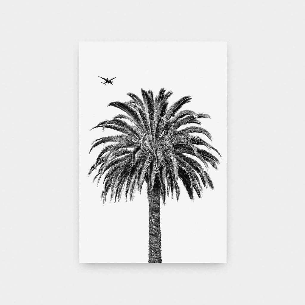 Palm & Plane - beach, black and White, photography, portrait print - LNDN GRAY